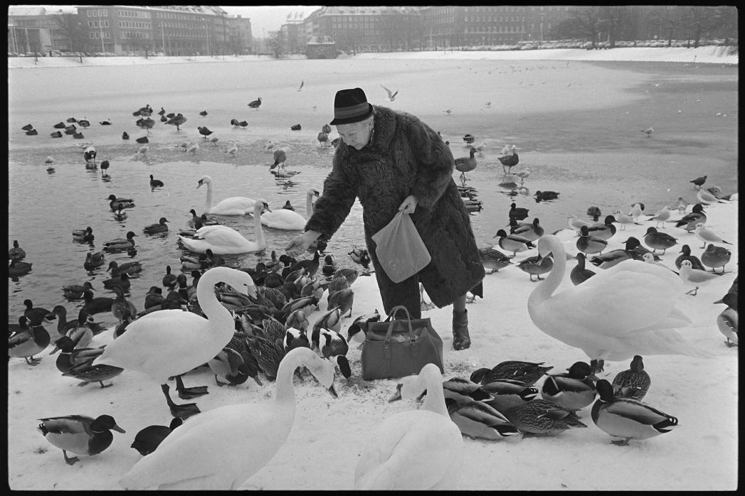 Wir digitalisieren Dias, Negative und Fotos