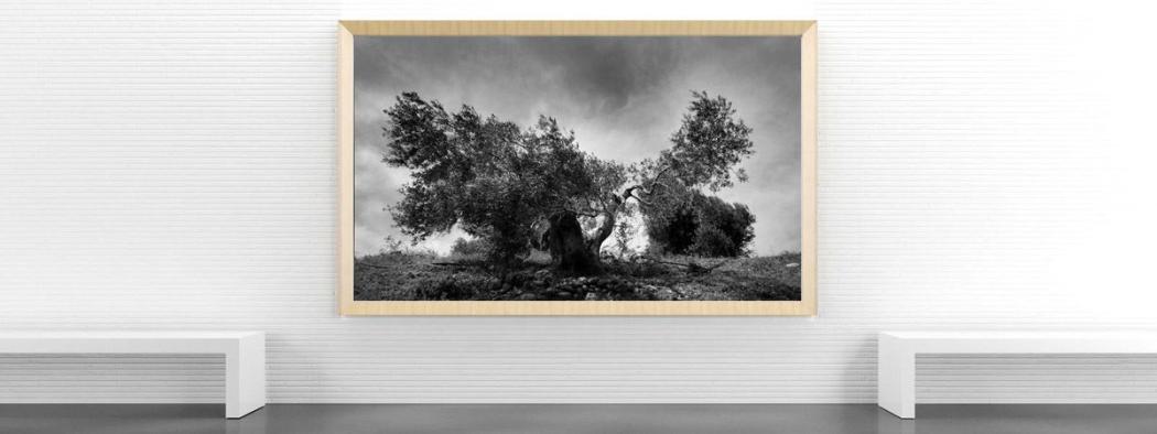 FineART-Drucke und Digitalfotos Foto, Digitalfoto, Fineart, Fineart-Druck, Fotodruck, Galerie, Museum, Qualität, Ausstellung, Tintenstrahl, Pigmentierte Tinte