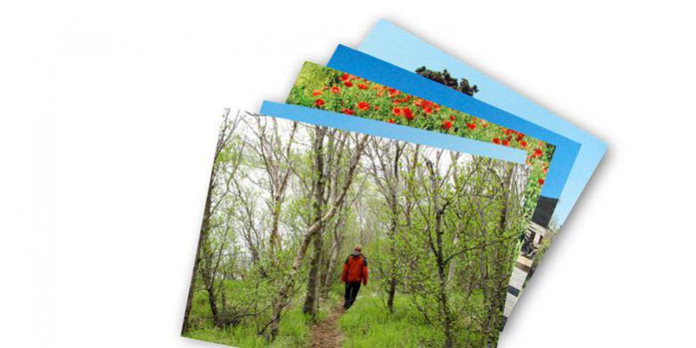 Wir belichten und drucken Fotos von Bilddaten, Negativen und Dias.